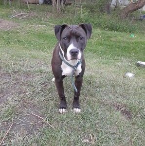 Meet your Posher, Keith